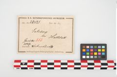 Etikett zu Bronzeknotenarmreif (NHMW-PRAE-026121)